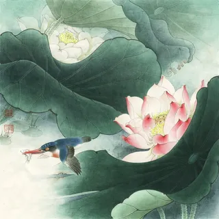 绿翠红荷花工笔画 绿翠红荷花工笔画