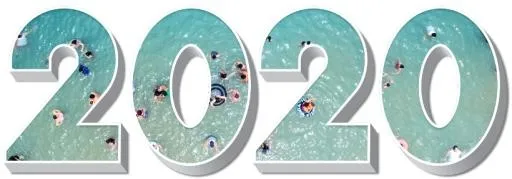 2020年PNG免抠(820x287)