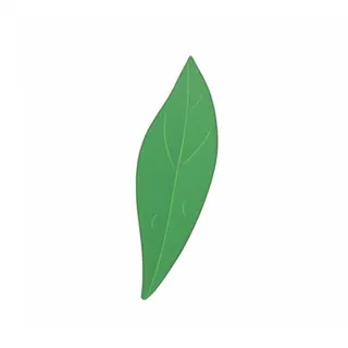 一片绿色叶子png免抠