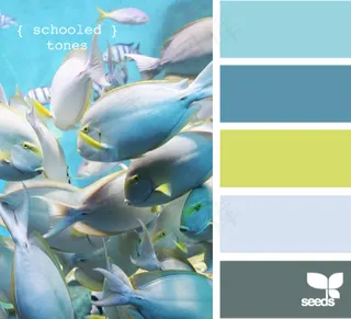 动物配色色卡色彩搭配