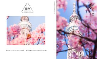 文艺清新海报模板日系排版14