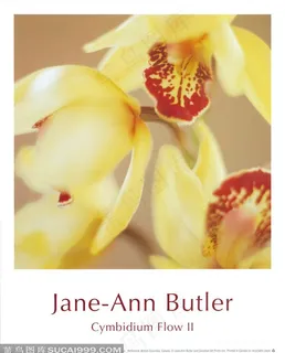 高清唯美花卉高清油画