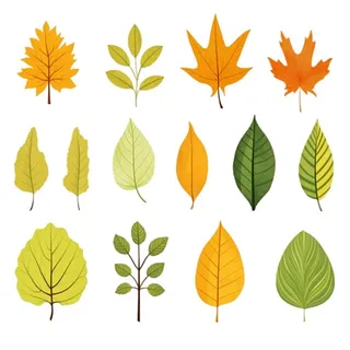 秋天黄色叶子树叶插画免抠