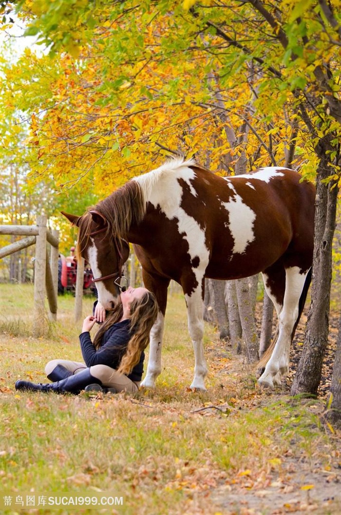 女孩与骏马图片
