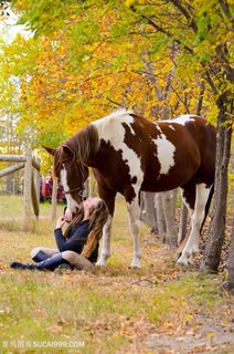 女孩与骏马图片