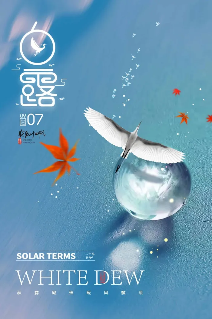 创意白露节气营销海报图片psd模版下载