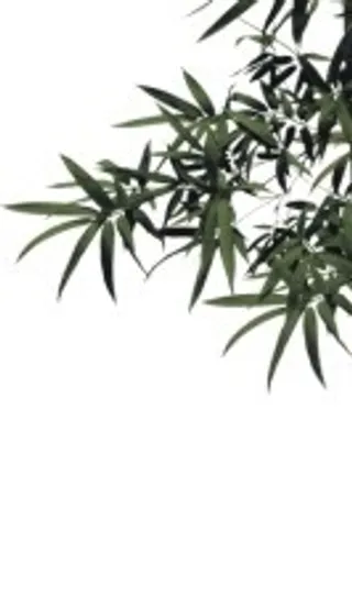 竹叶高清古典画