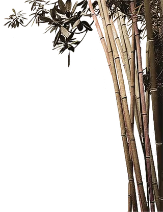 古典元素竹子