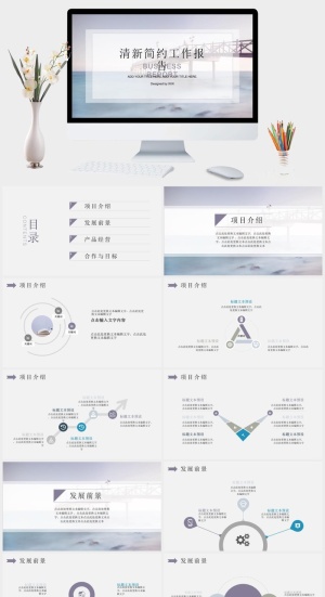 淡雅简约工作报告PPT模板