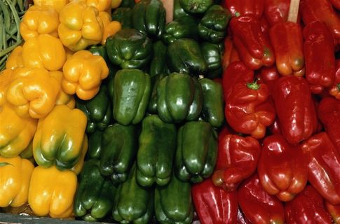 西红柿辣椒卷心菜好吃的水果jpg素材