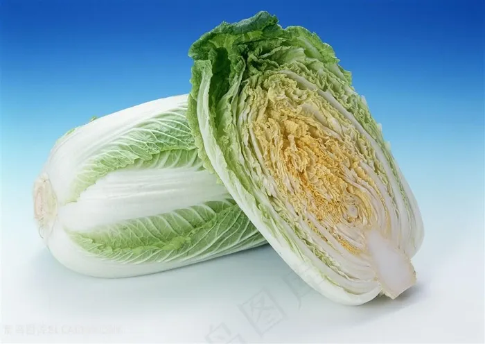 新鲜蔬菜白菜