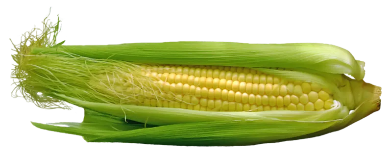 玉米剥皮一根
