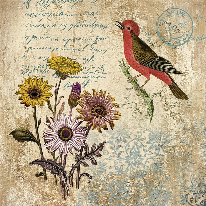 欧式花鸟装饰画