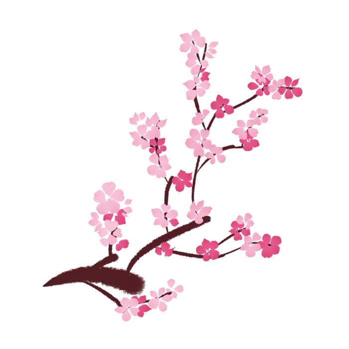 春天浪漫粉红色樱花手绘樱花梅花桃花花朵图片PNG免扣素材