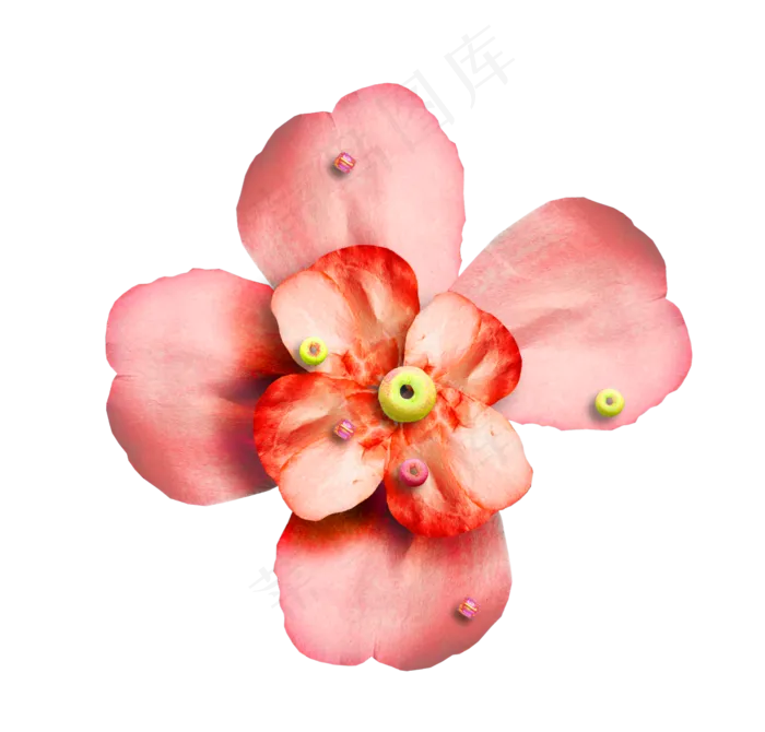 免抠花朵二