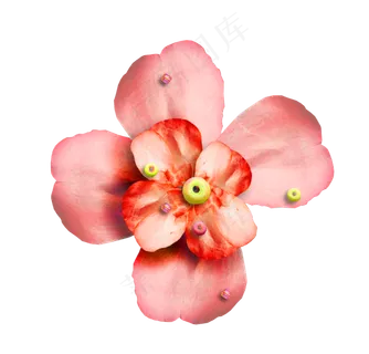 免抠花朵二 免抠花朵二