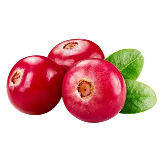 75蔓越莓 (1)水果超市商品白底图免抠实物摄影png格式图片透明底