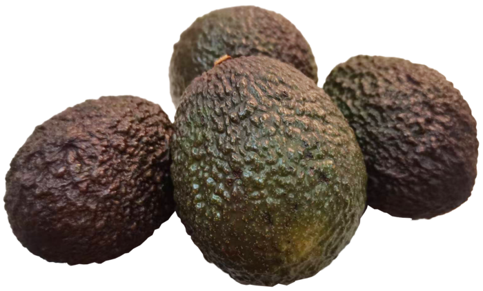 牛油果鲜果鳄梨免抠实物实拍摄影元素素材