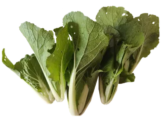 自己种的绿色无公害小白菜快菜鲜活蔬菜免抠摄影虫洞绿叶菜实拍元素