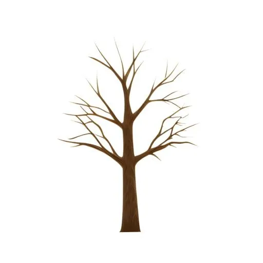 树树干免抠(2048x2048)
