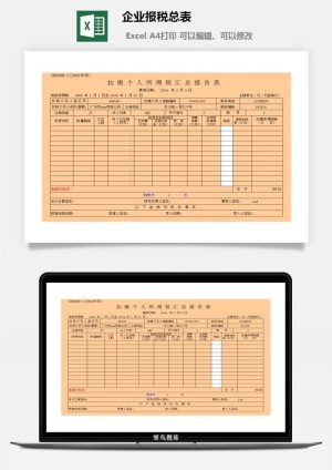 企业报税总表excel模板