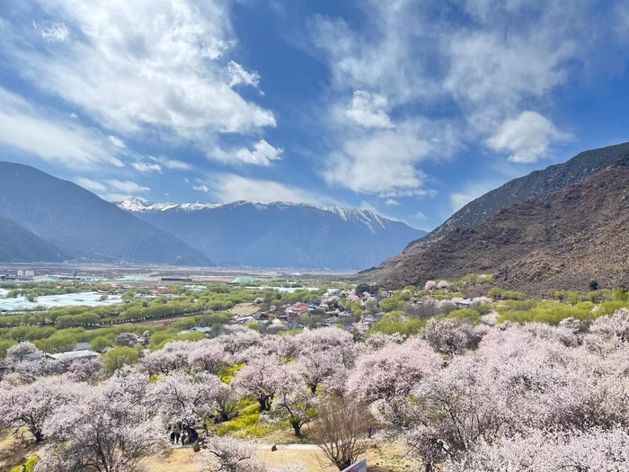 西藏美丽风景