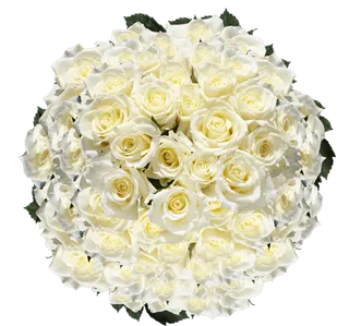 玫瑰花束素材礼物