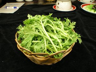     茼蒿 