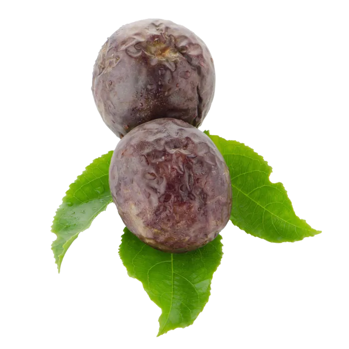 百香果 (9)水果超市商品白底图免抠实物摄影png格式图片透明底