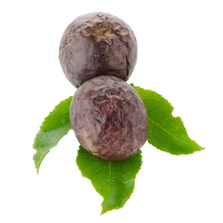 百香果 (9)水果超市商品白底图免抠实物摄影png格式图片透明底