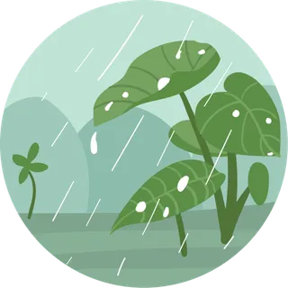 谷雨图标元素