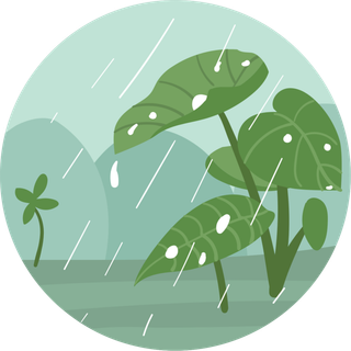 谷雨图标元素