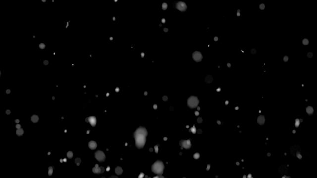 粒子, 散景, 背景, 模糊, 黑色的, 影响, 图形效果