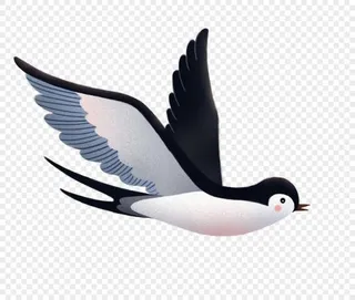 燕子 PNG免抠