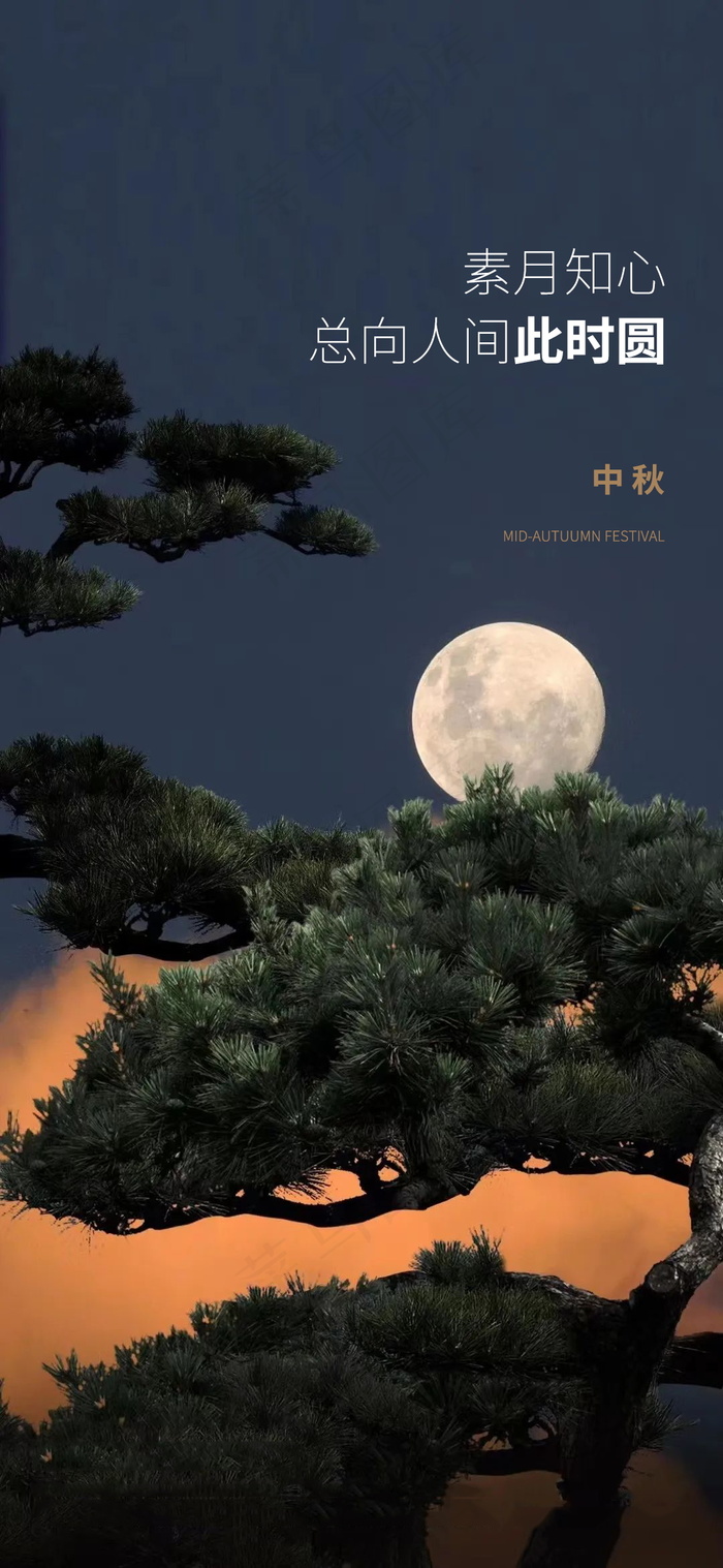 简约中秋节节日海报psd模版下载