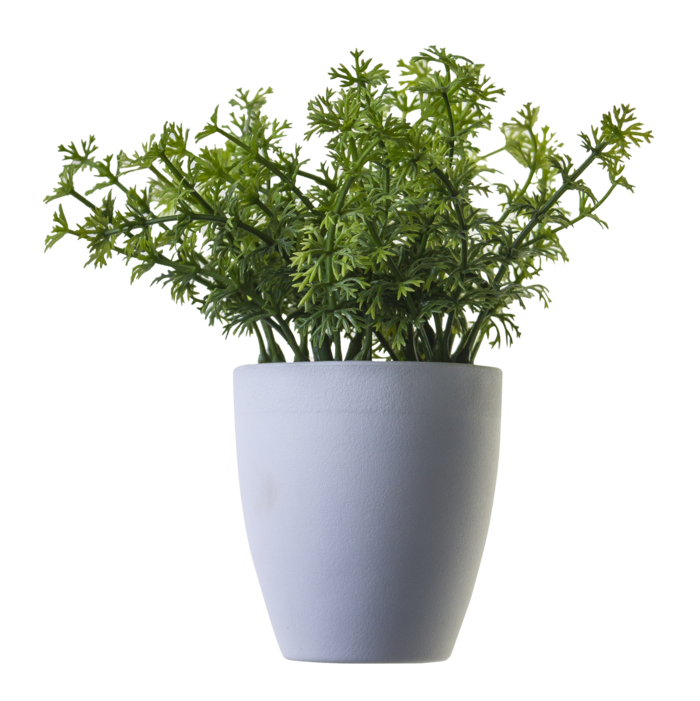 植物摆件瓷器
