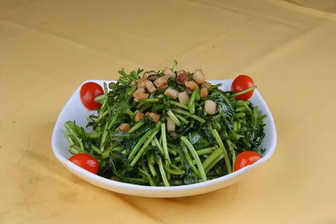 肉粒小藤蒿 16元