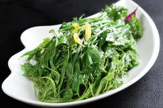 L00920爽口丝瓜尖5 (2)