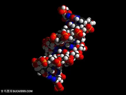 细胞染色体图片 细胞染色体图片
