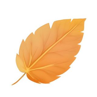 叶子树叶免抠