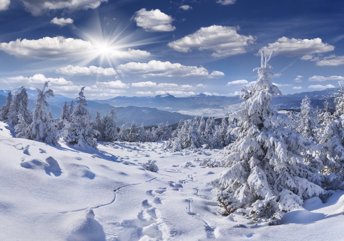 美丽的冬天冰雪景色