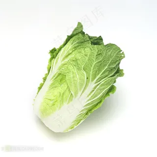新鲜大白菜高清摄影图片