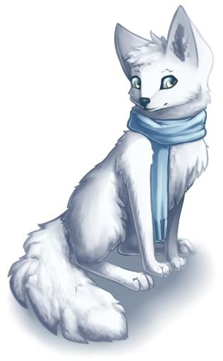 北极狐 PNG(494x800)