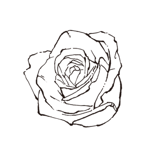 线条草本花卉手绘植物-玫瑰花5