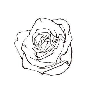线条草本花卉手绘植物-玫瑰花5