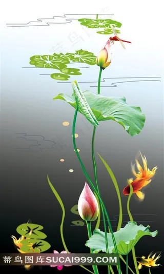 装饰画背景画无框画荷花