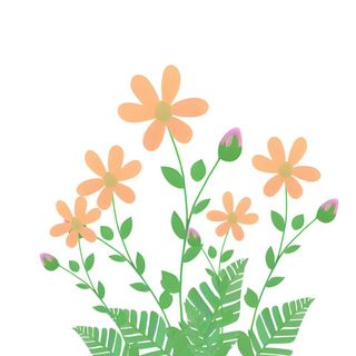 花束叶子绿叶免抠