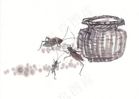 昆虫花草美图jpg素材