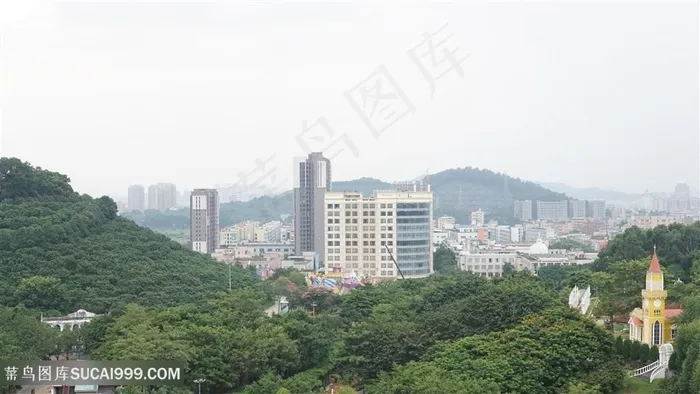 山上风景绿植