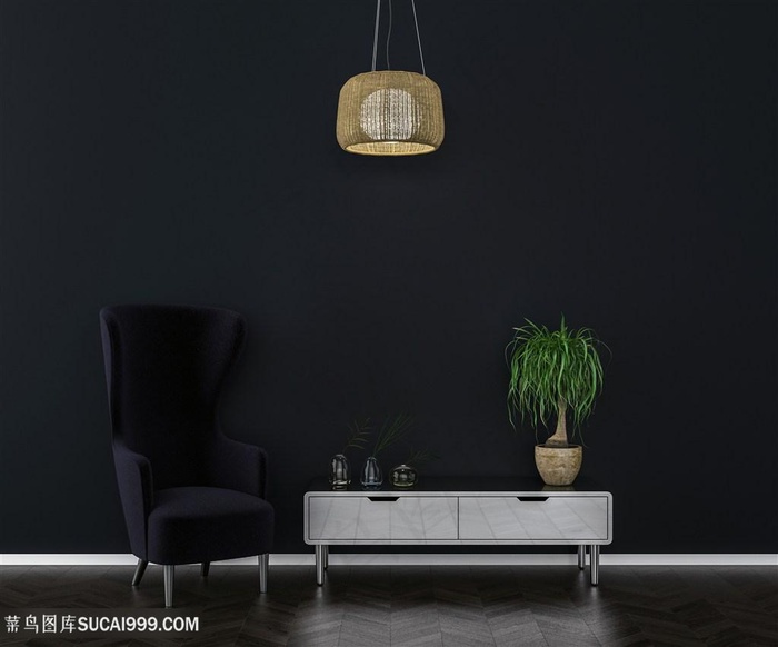 黑色经典软装效果图